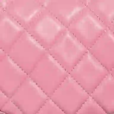 Chanel Moon Bag Pink