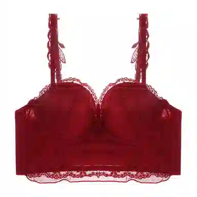 内在密码 纯色蕾丝小胸聚拢防下垂收副乳胸罩无钢圈文胸