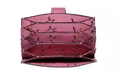 COACH Accordion Card Case