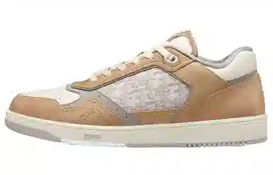 DIOR B27 Oblique