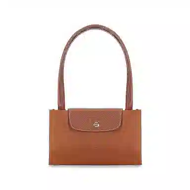LONGCHAMP Le Pliage 31