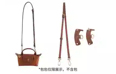 Longchamp Mini Bag Strap Brown