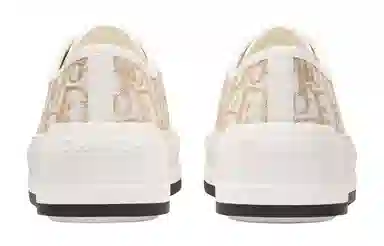 DIOR Walk'n'Dior Oblique