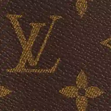 LOUIS VUITTON keepall 55 55