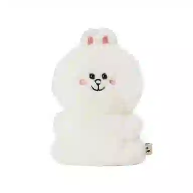 LINE FRIENDS FLATFUR