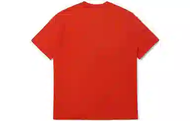 Levis T