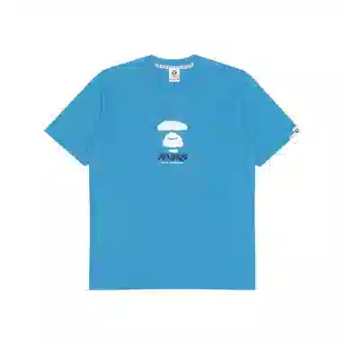 Aape T