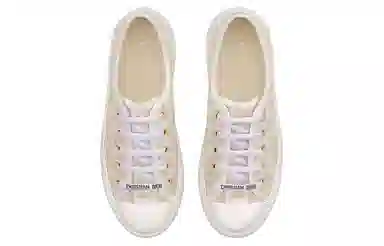 DIOR Walk'n'Dior Oblique