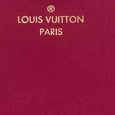 LOUIS VUITTON Lou