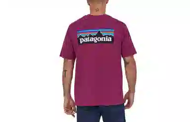 patagonia P-6Logo Responsibili LogoT