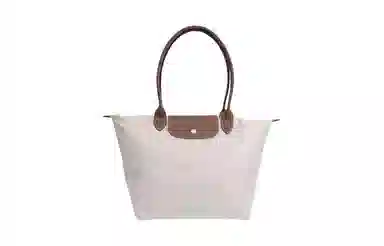 LONGCHAMP Le Pliage 31