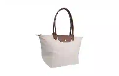 LONGCHAMP Le Pliage 31