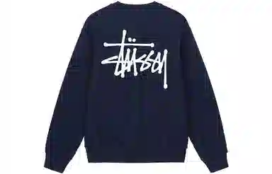 Stussy Basic Crew