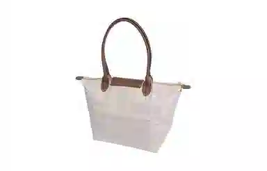 LONGCHAMP Le Pliage 31