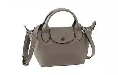 Longchamp Le Pliage Xtra Mini