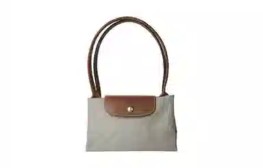 LONGCHAMP Le Pliage 31