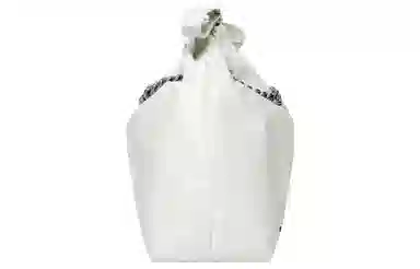 Balenciaga CRUSH