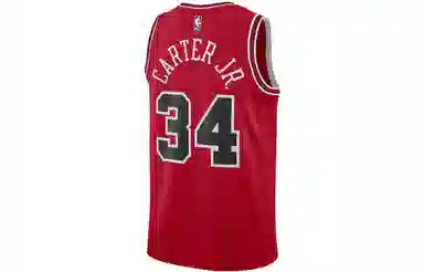 Nike NBA Chicago Bulls Wendell Carter Jr. 34 Jersey