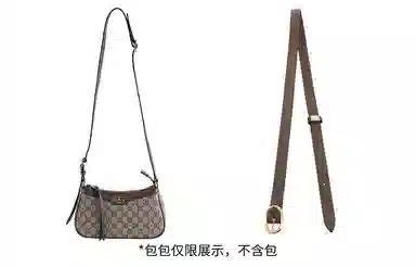 Gucciophidia