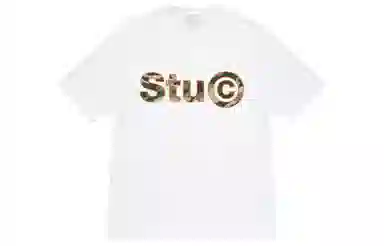 Stussy SS23 C. Camo Tee LogoT