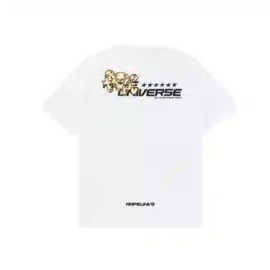 Aape T