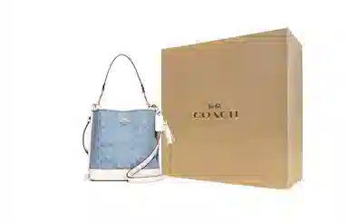 COACH Mollie 22 Bucket Bag Blue Signature