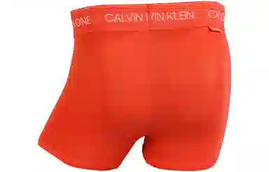 CKCalvin Klein Logo 1