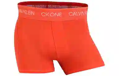 CKCalvin Klein Logo 1