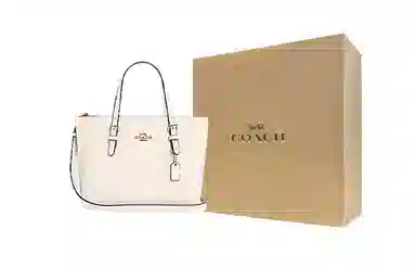 COACH Mollie 25 Tote