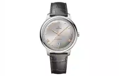 OMEGA 40mm 434.13.40.20.06.001