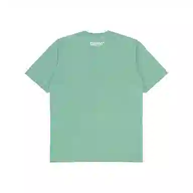 Aape T