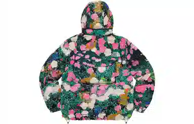 Supreme x THE NORTH FACE Logo