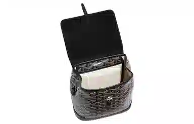 Goyard Alpin Mini Backpack Black