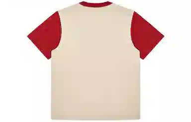 PASET T