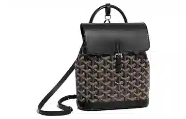 Goyard Alpin Mini Backpack Black