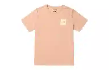 THE NORTH FACE SS23 Logo T