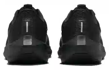 Nike Air Zoom Pegasus 40 Black