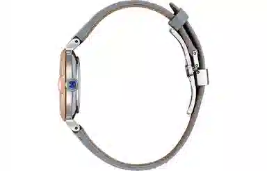 CITIZEN EM1074-15D