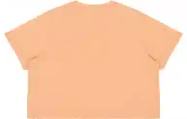 MostwantedLab T