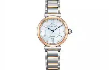 CITIZEN EM1074-82D