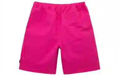 Stussy SS22 Brushed Beach Short