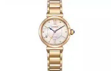 Citizen EM1073-85Y