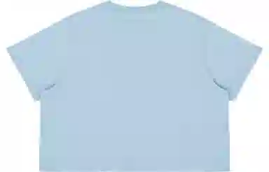 MostwantedLab T
