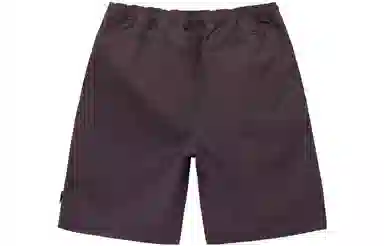 Stussy SS22 Brushed Beach Short