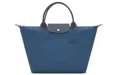 LONGCHAMP Le Pliage Green