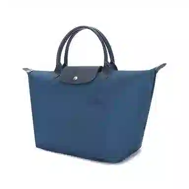 LONGCHAMP Le Pliage Green
