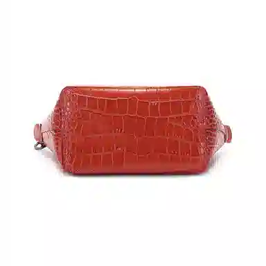 LONGCHAMP Le Pliage Cuir XS