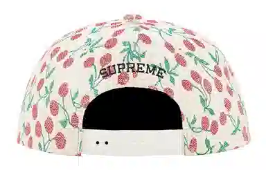 Supreme SS23 Week6 CHERRIES 5-PANEL