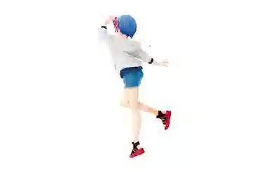 TAITO pcs (precious figure) re 23cm