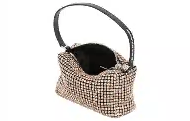 alexander wang heiress